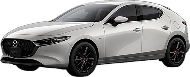 台中租車-中美租車-逢甲租車-馬３５門